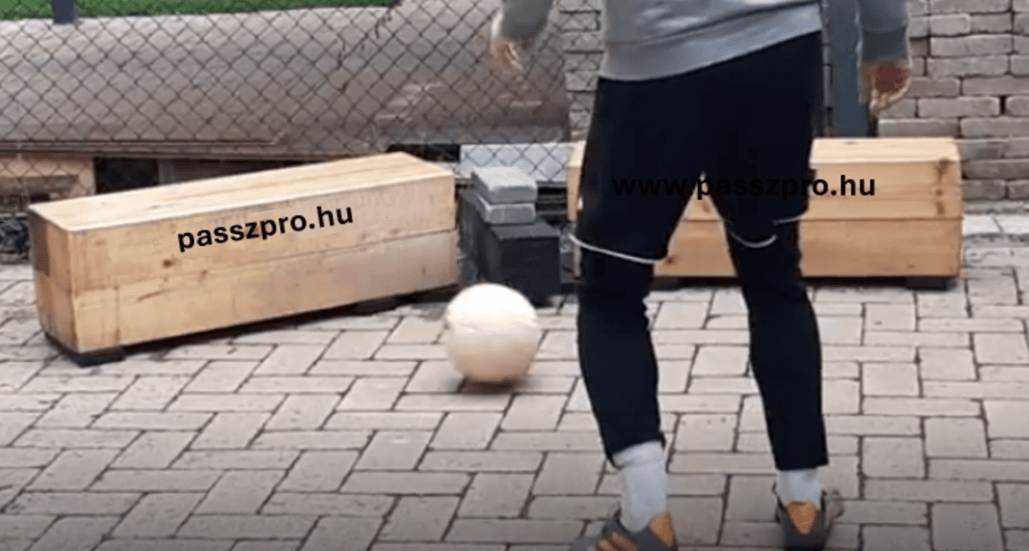 PasszPro